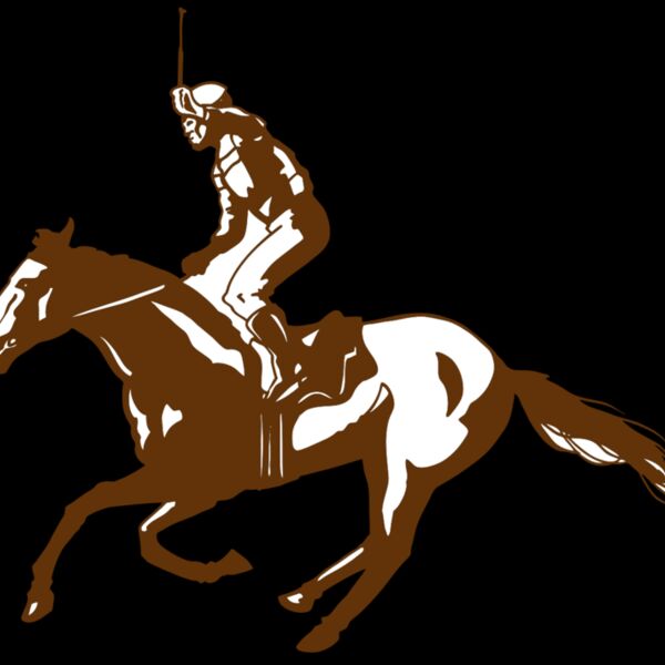 AR EQUEST 11 RC Thumbnail