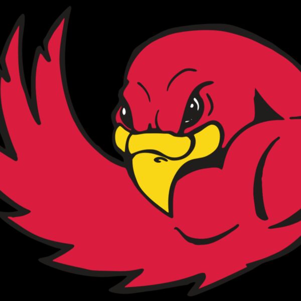 AR FALCON 18 RC Thumbnail