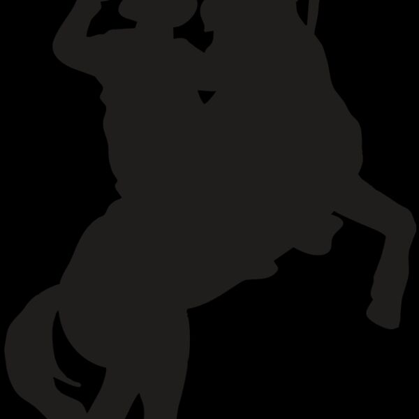 AR COWBOY 26 RC Thumbnail