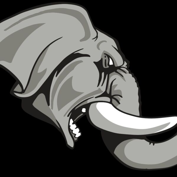 AR ELEPH 20 RC Thumbnail