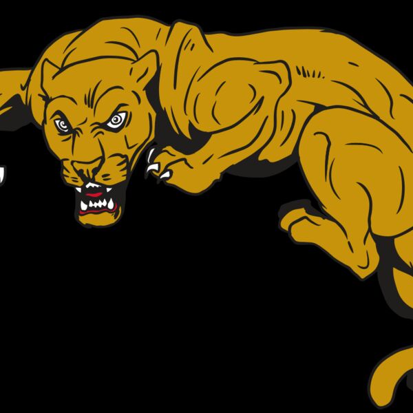 AR10 PANTHER 02 RQC Thumbnail